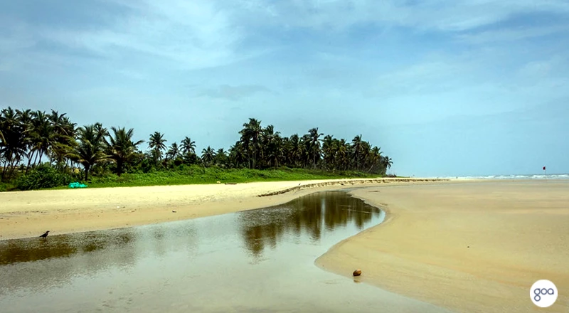 calangute beach